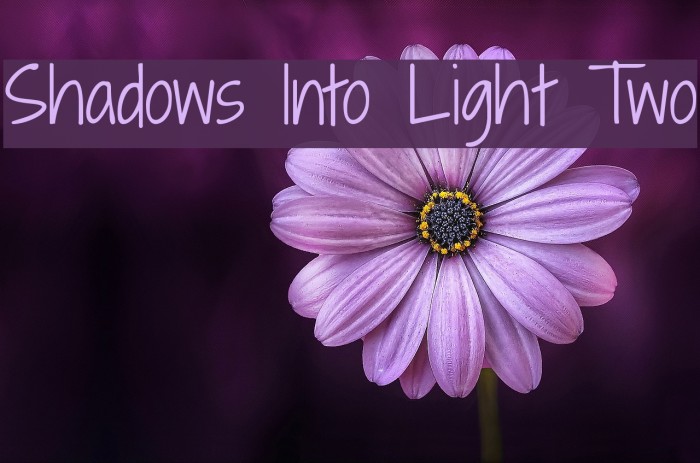Shadows Into Light Two Font examples