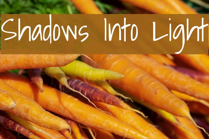 Shadows Into Light Font examples