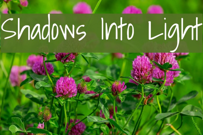 Shadows Into Light Font examples