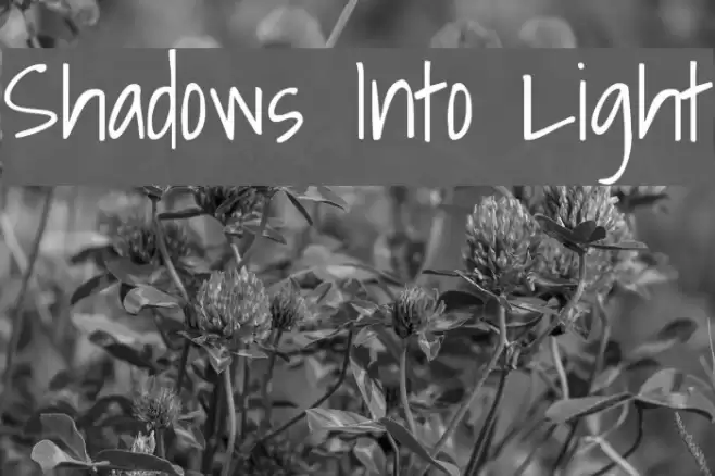 Shadows Into Light examples