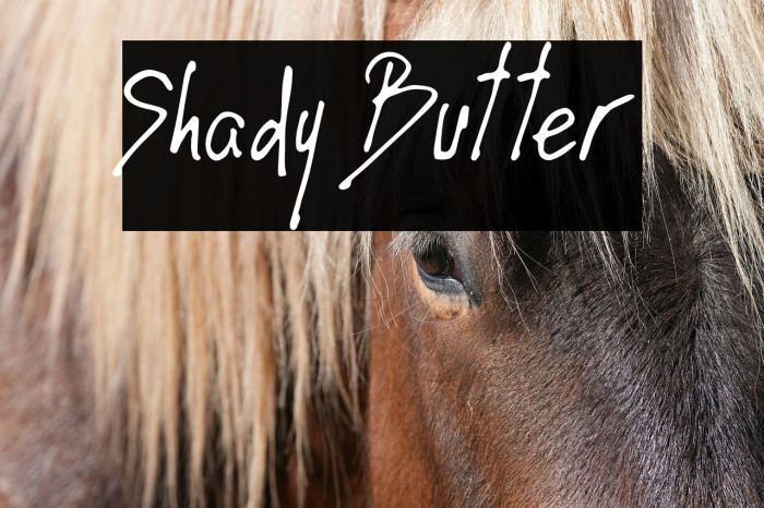 Shady Butter Example 3