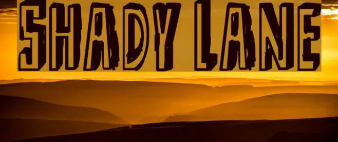 Shady Lane Example 1