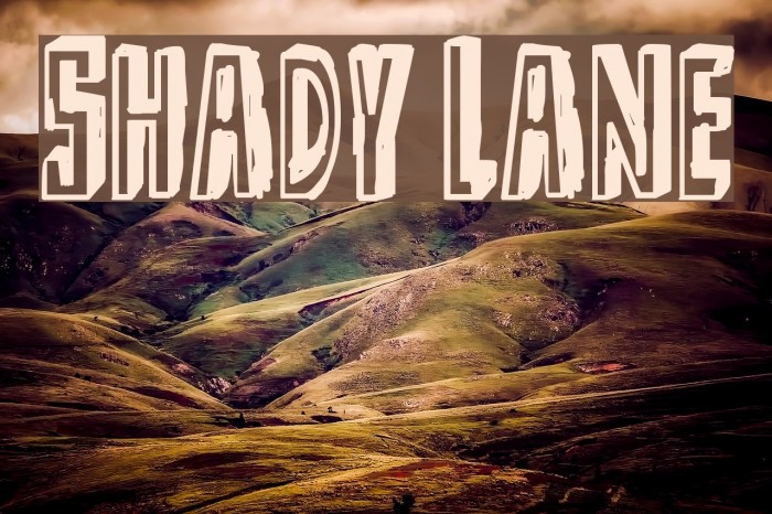 Shady Lane Font examples