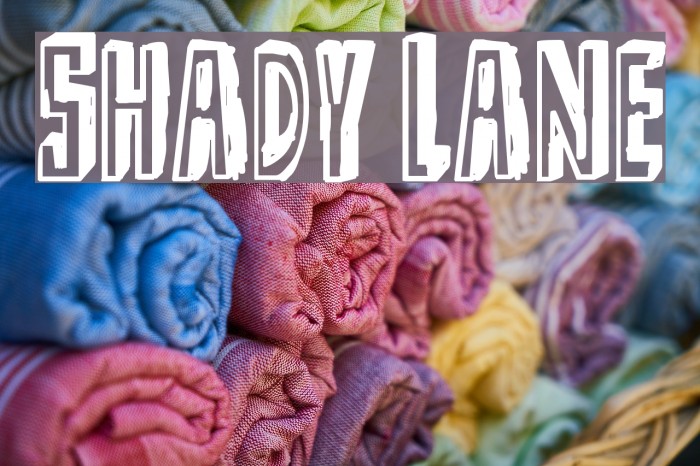 Shady Lane Font examples