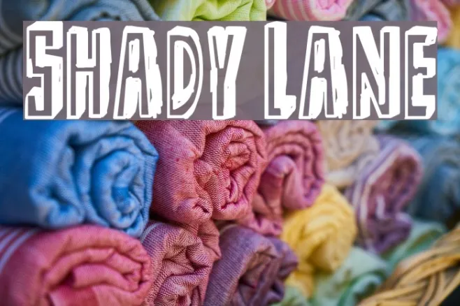 Shady Lane Example 3