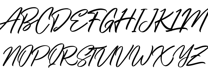 Shadyspeed Free Regular Font OTHER CHARS