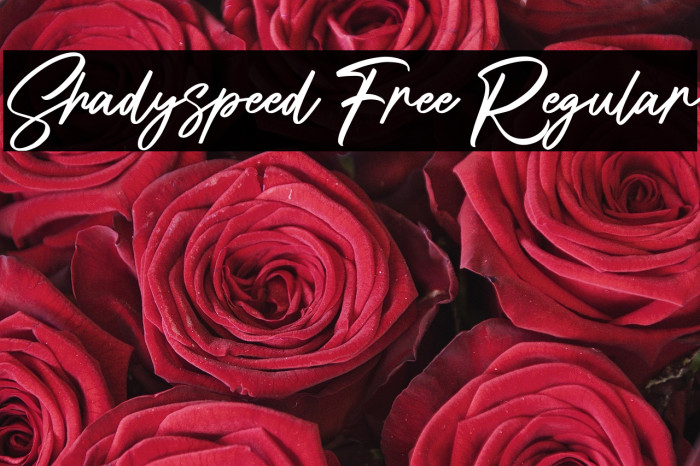 Shadyspeed Free Regular Example 1