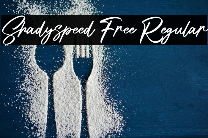 Shadyspeed Free Regular Example 2