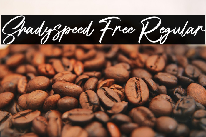 Shadyspeed Free Regular Example 3