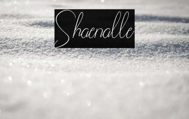 Shaenalle Example 1