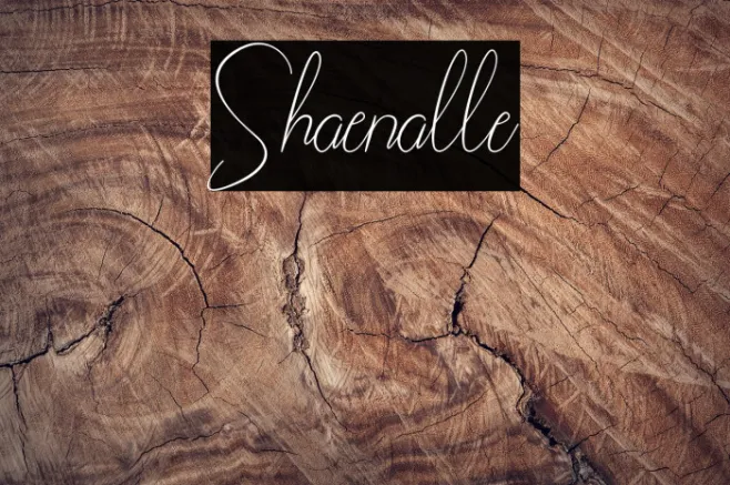 Shaenalle Example 2