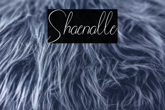 Shaenalle Example 3