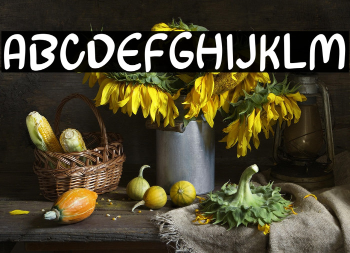 Shafa Masyic Example 1