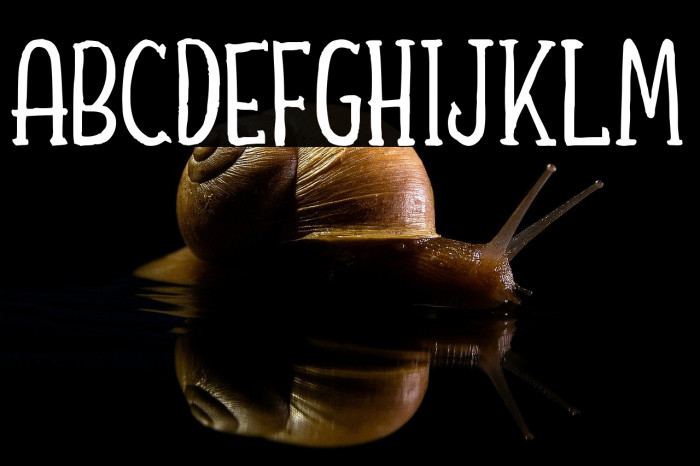 Shafeer Descript Demo Example 1