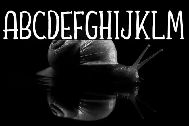 Shafeer Descript Demo Font examples