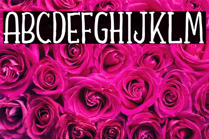 Shafeer Descript Demo Example 3