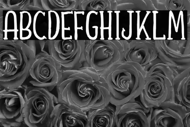 Shafeer Descript Demo Font examples