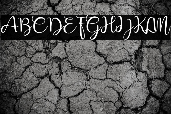 Shafeer demo Example 1