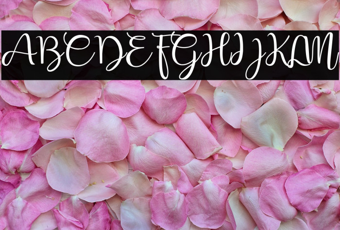 Shafeer demo Example 3