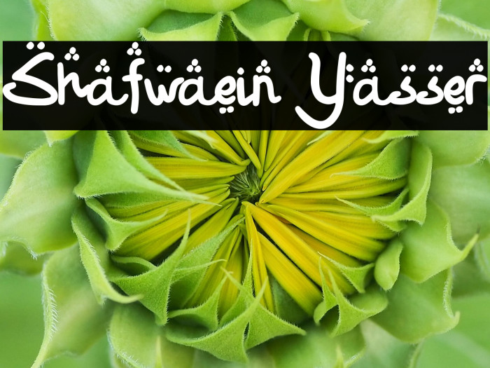 Shafwaein Yasser Example 1