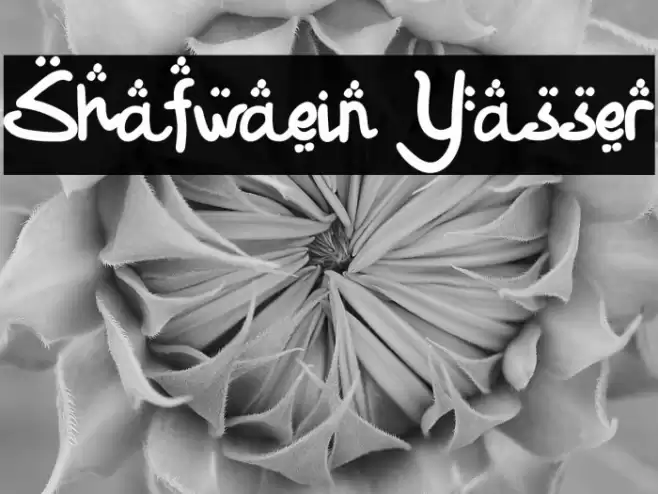 Shafwaein Yasser Caratteri examples