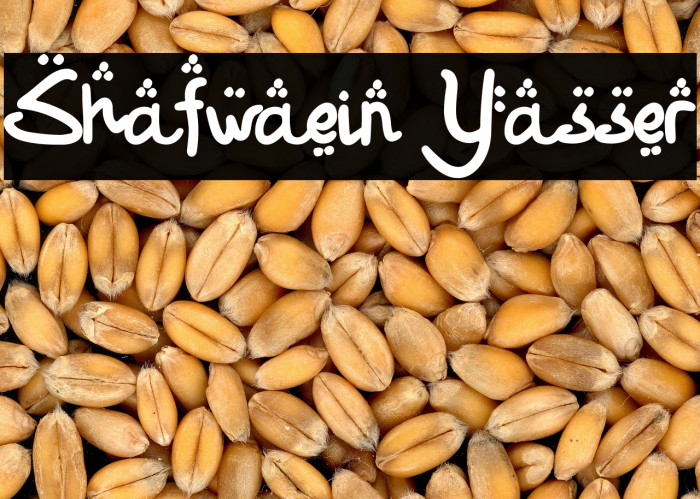 Shafwaein Yasser Example 2