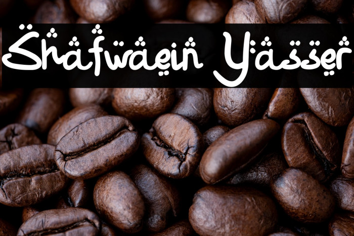 Shafwaein Yasser Example 3