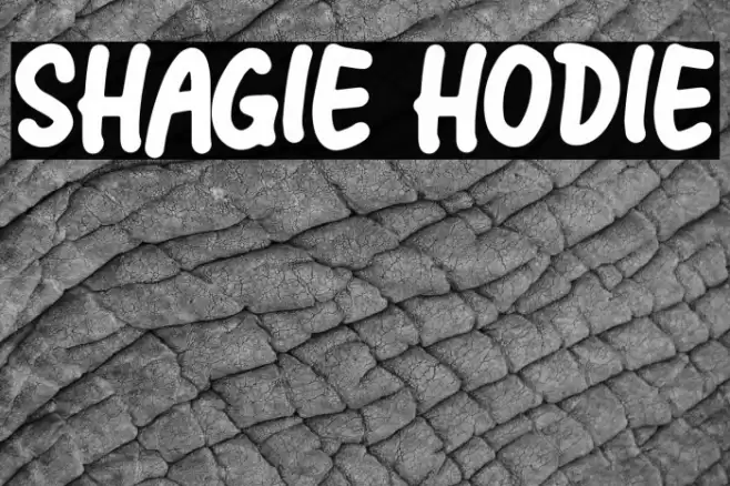 Shagie Hodie Font examples