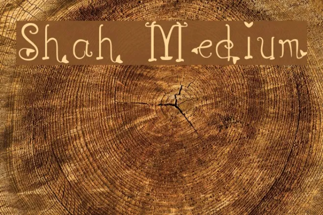 Shah Medium Example 1