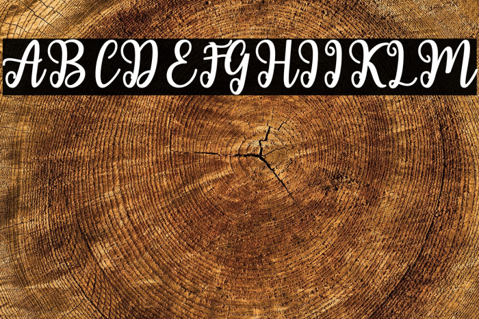 ShailaScript Example 2