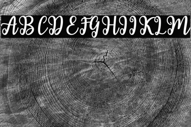 ShailaScript Font examples