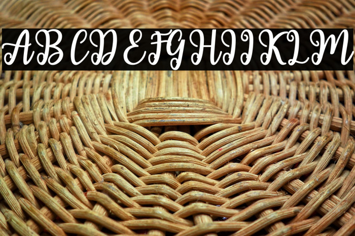 ShailaScript Example 3