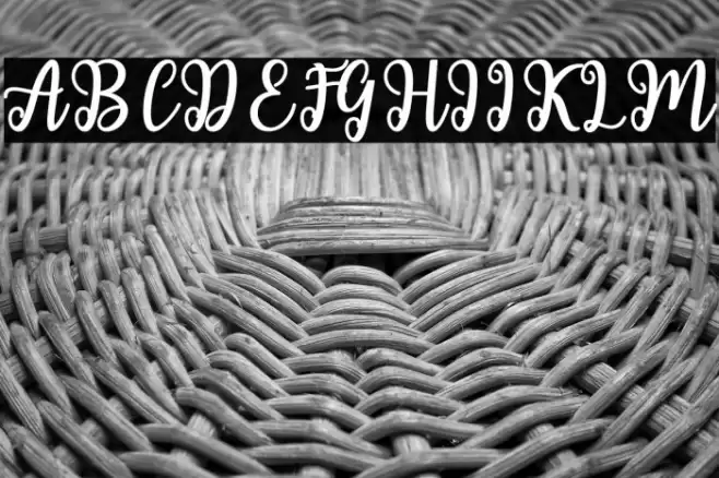 ShailaScript Font examples