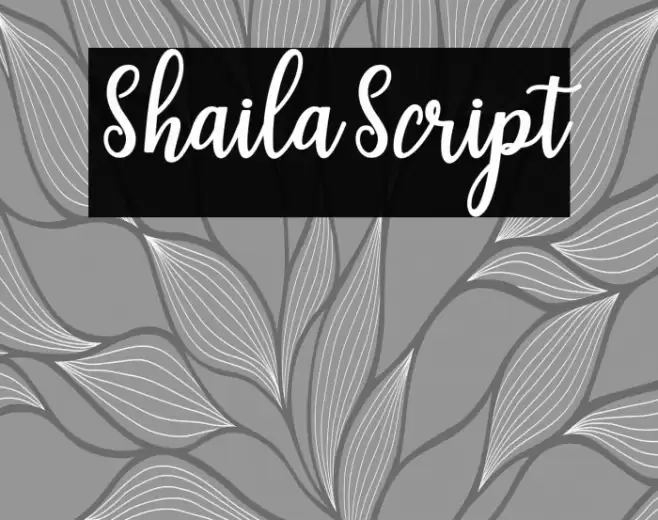 ShailaScript Font examples