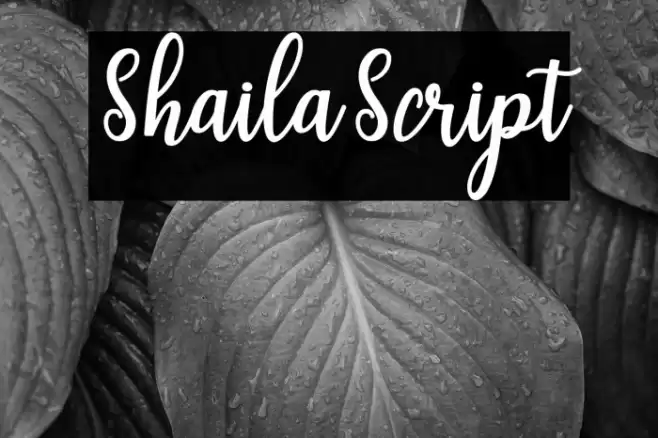 ShailaScript Font examples