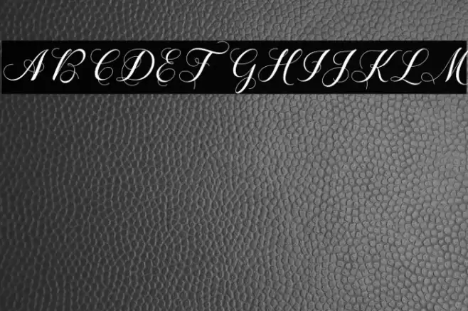 Shailena Font examples