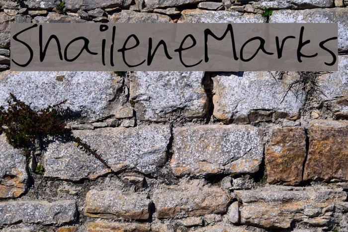 Shailene_Marks Font examples
