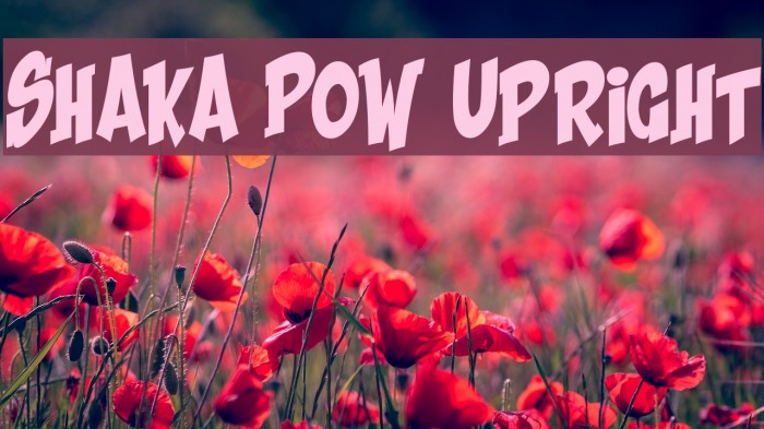 Shaka Pow Upright Font examples