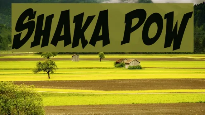 Shaka Pow Example 1