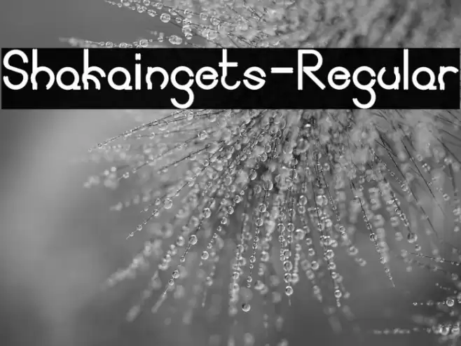 Shakaingets-Regular Font examples