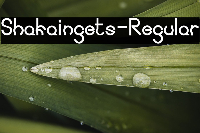 Shakaingets-Regular Example 3