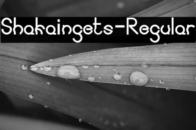 Shakaingets-Regular Font examples