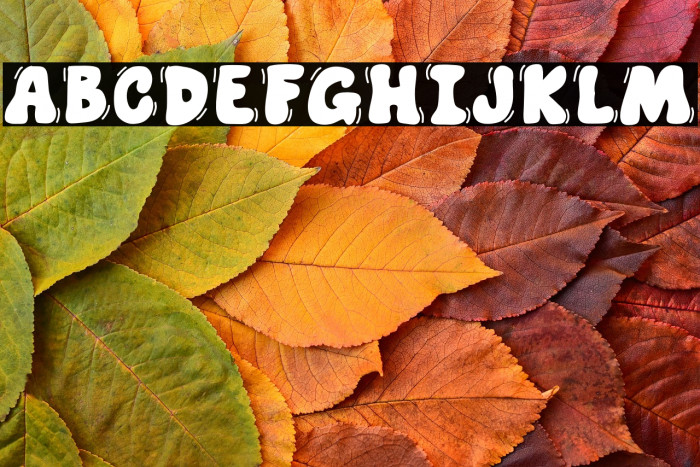 Shake Alone Example 3