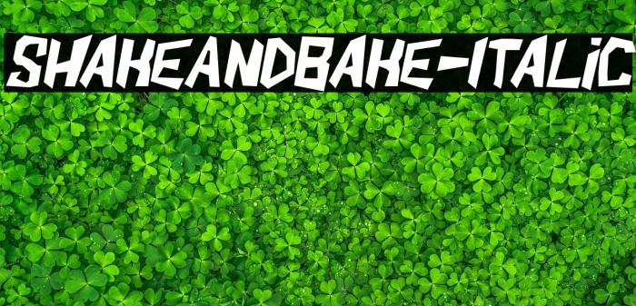 ShakeAndBake-Italic Example 3