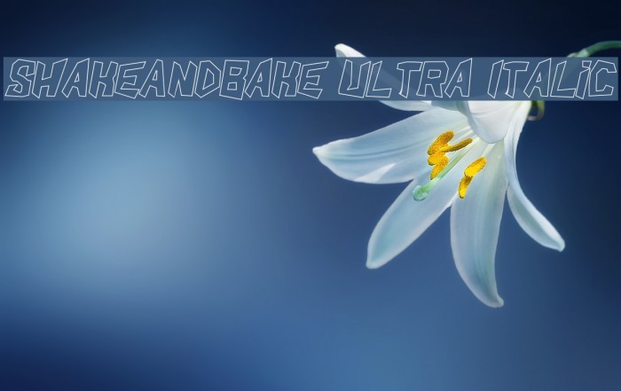 ShakeAndBake Ultra Italic Font examples
