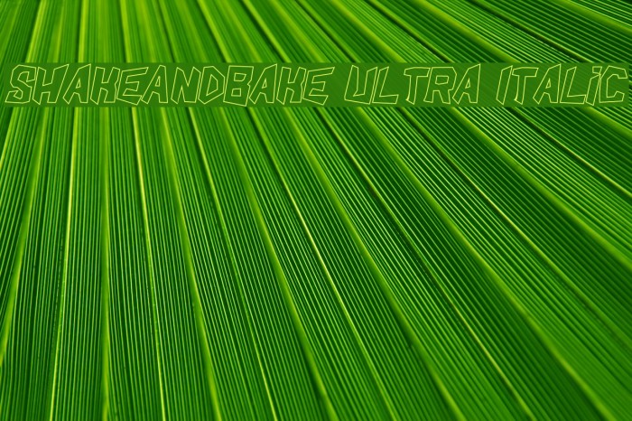 ShakeAndBake Ultra Italic Font examples