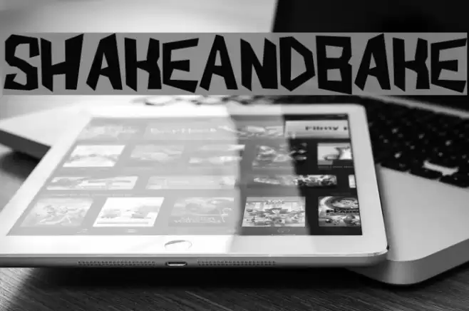 ShakeAndBake Font examples