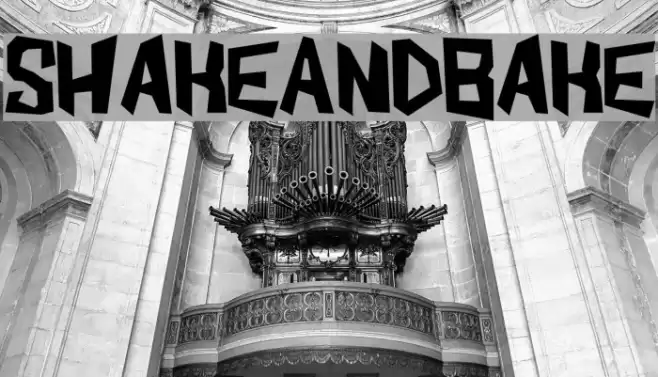 ShakeAndBake Font examples
