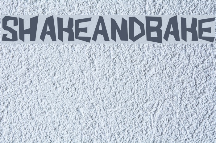 ShakeAndBake Example 3