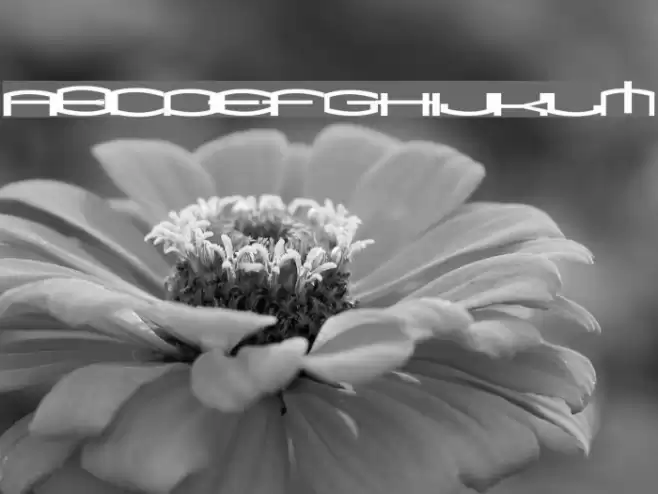 ShakeDown SemiBold Font examples